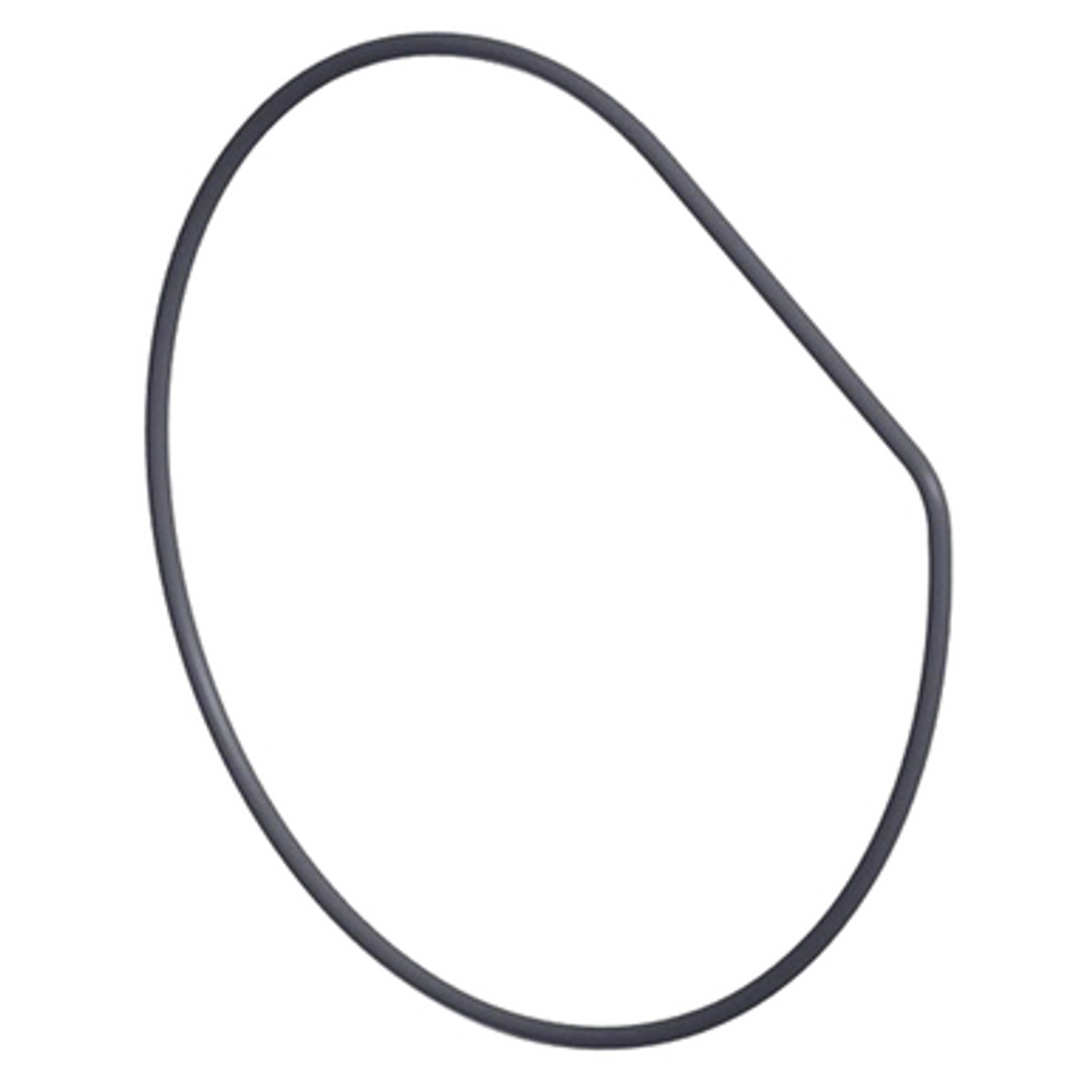Housing O-Ring