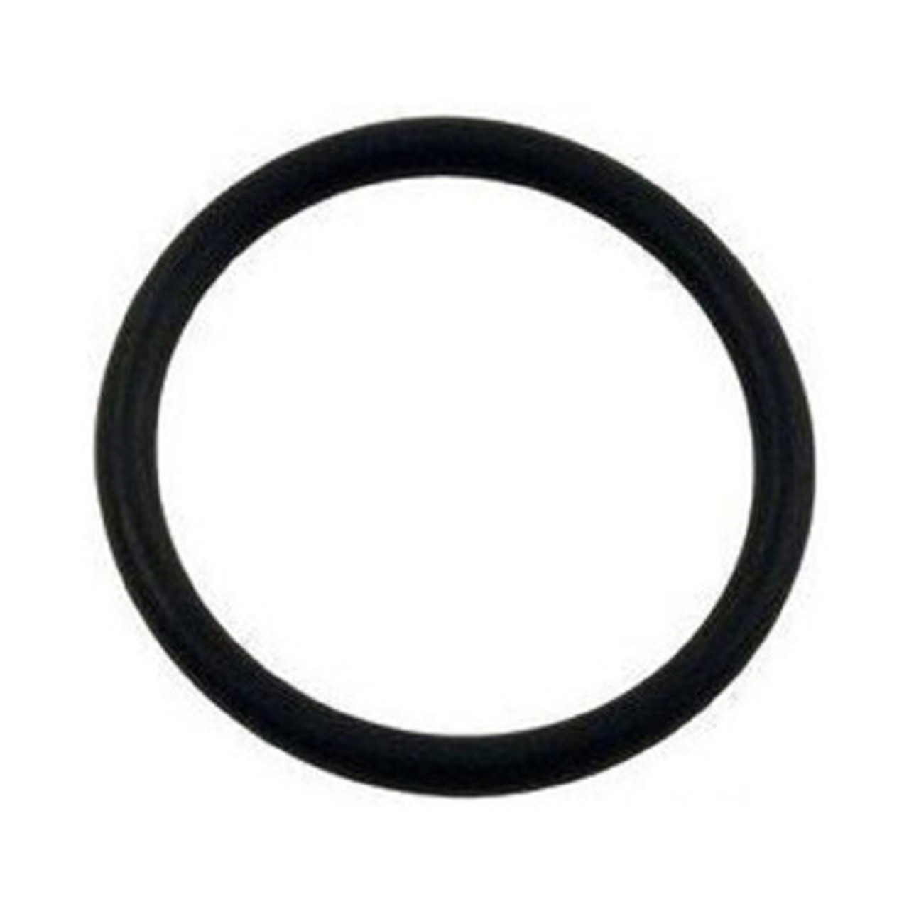 Strainer O-Ring